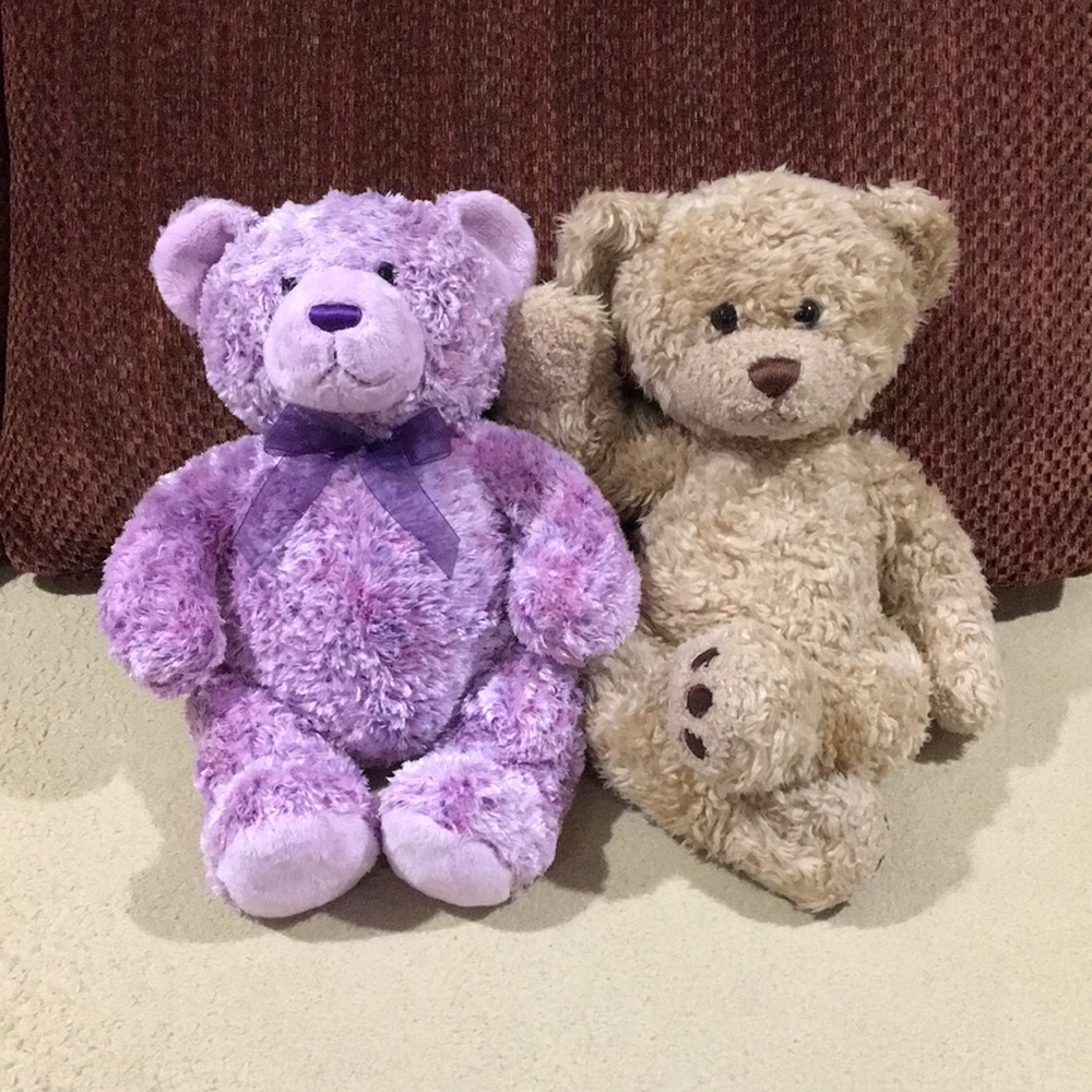 Purple and Tan Teddy Bear Set